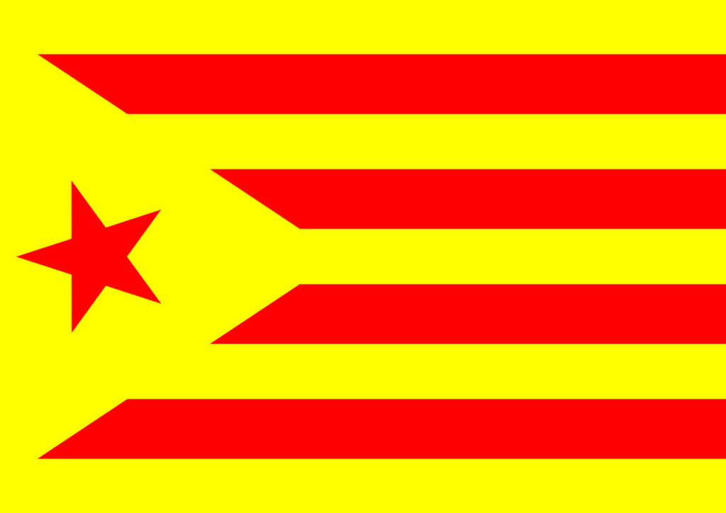 Bandera de España 14