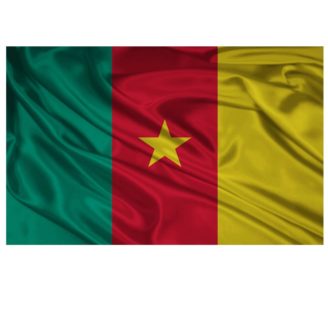 Bandera de Camerún, lo que desconoce de este estandarte