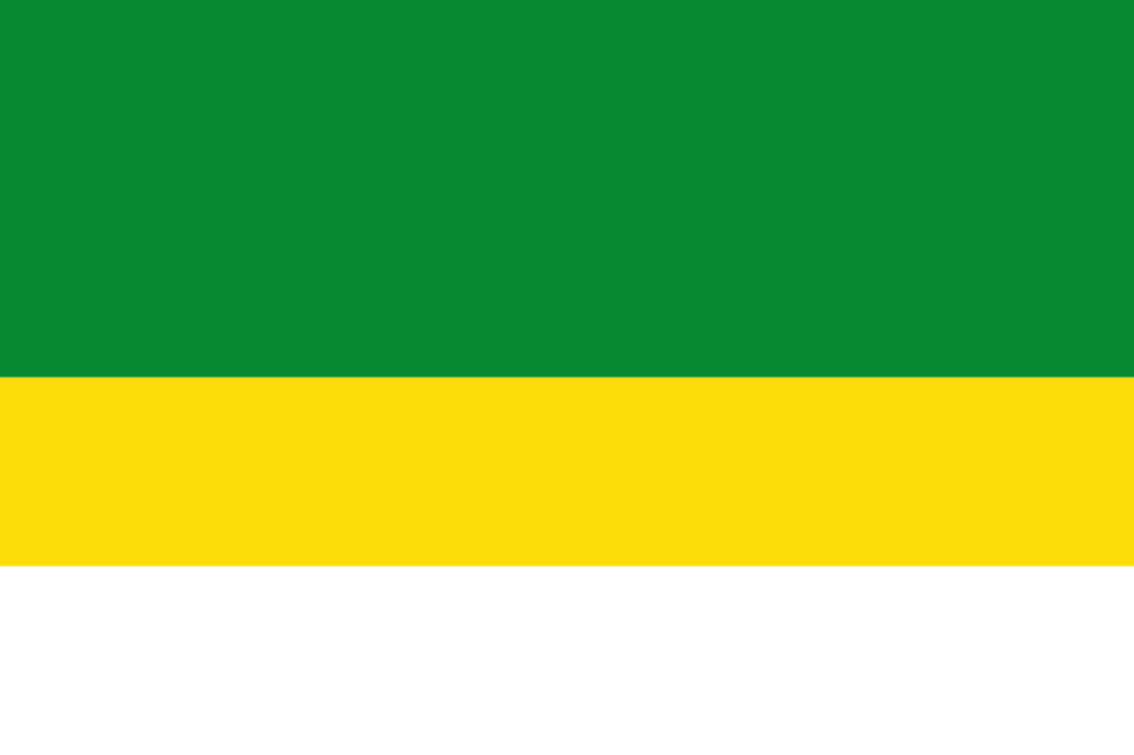Bandera de Cundinamarca 8