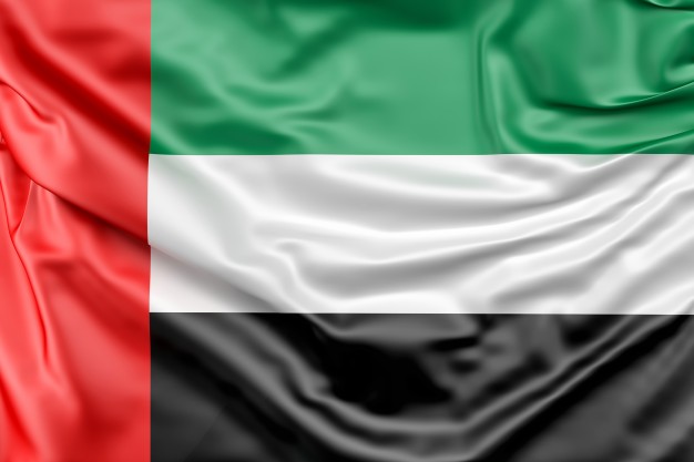 bandera de los emiratos arabes unidos