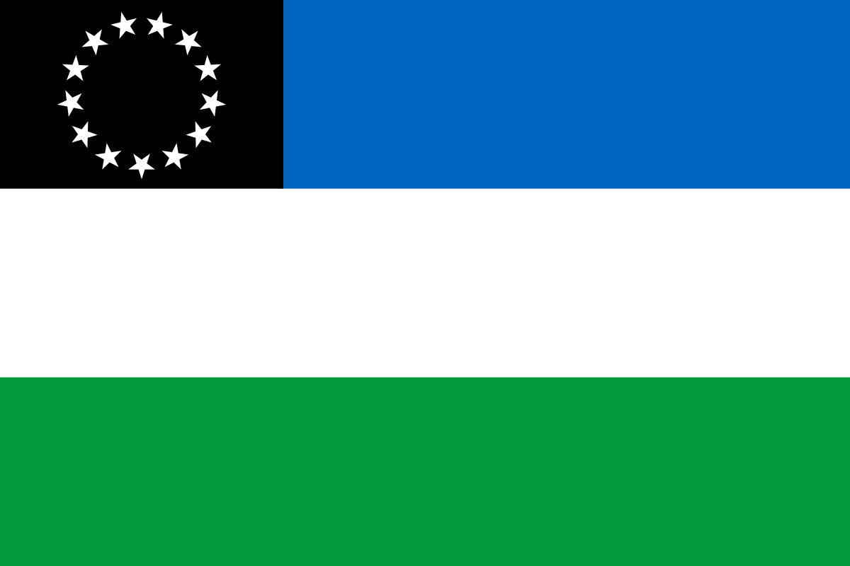 Bandera de Río Negro oficial