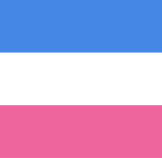 Bandera heterosexual: todo lo que desconoce sobre ella