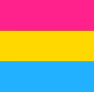 Bandera pansexual: todo lo que necesita usted conocer