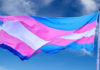 Bandera trans: todo lo que necesita saber sobre ella