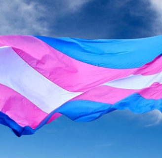 Bandera trans: todo lo que necesita saber sobre ella