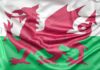 Aprenda todo lo que debe saber sobre la Bandera de Gales.
