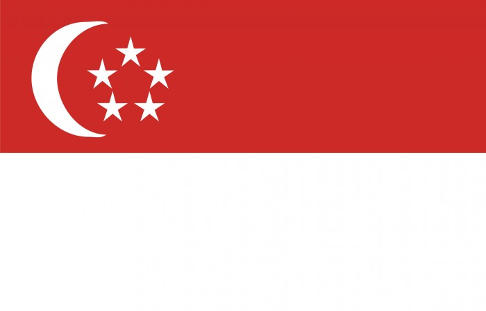 ver-Bandera de Singapur-0